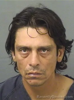 Mugshot of David N Bautistaochoa booked in Palm Beach County, Florida on August 24, 2026