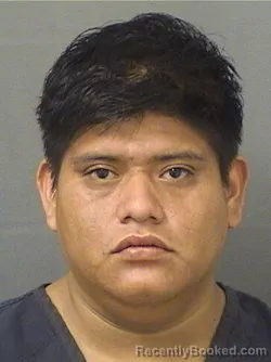 Mugshot of Angel Gustavo booked in Palm Beach County, Florida on August 24, 2026