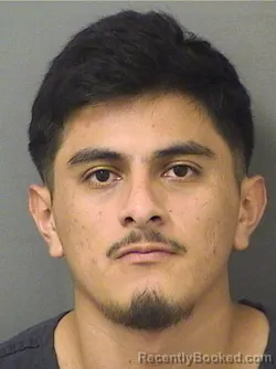 Mugshot of Silver Misael Tellolopez booked in Palm Beach County, Florida on August 24, 2026