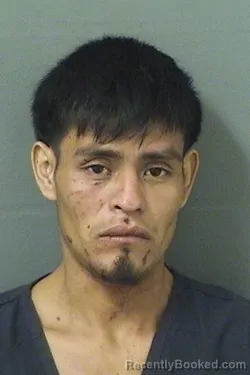 Mugshot of Izrael Jeronimo booked in Palm Beach County, Florida on August 24, 2026