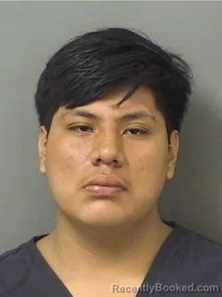 Mugshot of Cristian Hernandezgomez booked in Palm Beach County, Florida on August 24, 2026