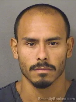 Mugshot of Ricky Mateo Lobatto booked in Palm Beach County, Florida on August 25, 2026
