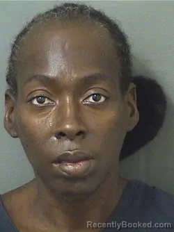 Mugshot of Fiona Rema Leslie booked in Palm Beach County, Florida on August 25, 2026
