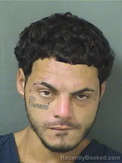 Mugshot of Alexander I Claudio booked in Palm Beach County, Florida on August 25, 2026