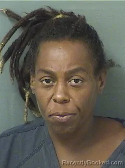 Mugshot of Arielle S Stepherson booked in Palm Beach County, Florida on August 25, 2026