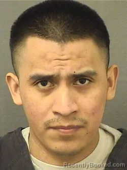 Mugshot of Nicolas Josefrancisco booked in Palm Beach County, Florida on August 26, 2026