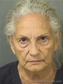 Mugshot of Barbara Nastase Schultz booked in Palm Beach County, Florida on August 25, 2026