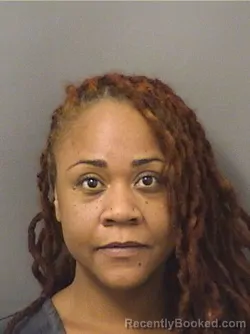 Mugshot of Chanelle Denise Hines booked in Palm Beach County, Florida on August 26, 2026