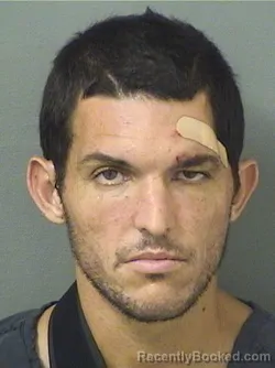 Mugshot of Alexander Jason Reiner booked in Palm Beach County, Florida on August 26, 2026