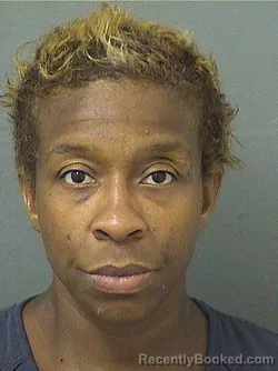 Mugshot of Kazia Lashawn Parks booked in Palm Beach County, Florida on August 26, 2026