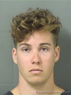 Mugshot of Dominic Steven Davis booked in Palm Beach County, Florida on August 26, 2026