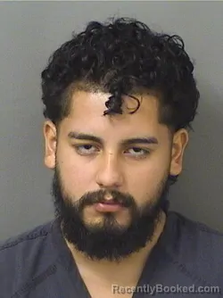 Mugshot of Bryan Genesis Saraviaalvarado booked in Palm Beach County, Florida on August 26, 2026