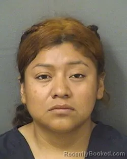 Mugshot of Lesbia Garciavasquez booked in Palm Beach County, Florida on August 27, 2026
