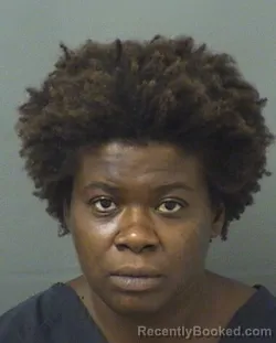 Mugshot of Delilah Alexander booked in Palm Beach County, Florida on August 28, 2026