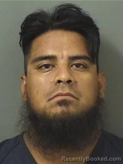 Mugshot of Jonatan Castorela booked in Palm Beach County, Florida on August 30, 2026