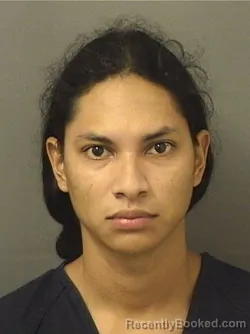 Mugshot of Javier Andres Velascomachado booked in Palm Beach County, Florida on August 30, 2026