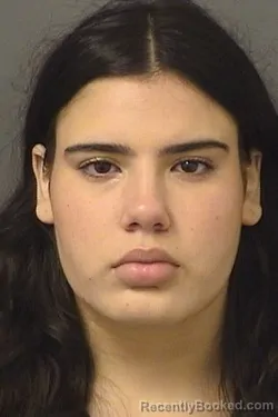 Mugshot of Nora Saleh booked in Palm Beach County, Florida on August 30, 2026