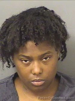Mugshot of Fabiola Fafane Demesyeux booked in Palm Beach County, Florida on August 30, 2026