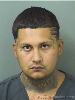 Mugshot of Jose Albert Jr Maldonado booked in Palm Beach County, Florida on August 31, 2026