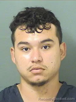 Mugshot of Johcey Morenoperez booked in Palm Beach County, Florida on September 1, 2026