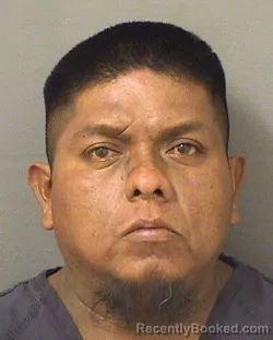 Mugshot of Chedraui Alvarezjuarez booked in Palm Beach County, Florida on September 2, 2026