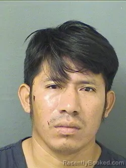 Mugshot of Pedro Anivalmarroquin booked in Palm Beach County, Florida on September 3, 2026