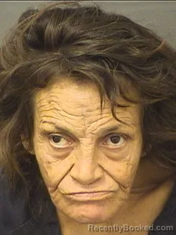 Mugshot of Deidre Ann Lagana booked in Palm Beach County, Florida on September 4, 2026