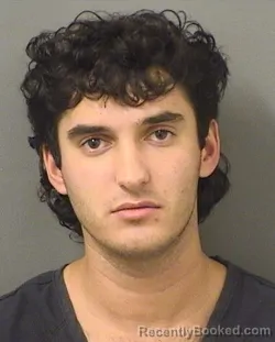 Mugshot of Evan Richard Gallo booked in Palm Beach County, Florida on September 5, 2026