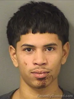 Mugshot of Brayan Alvarado booked in Palm Beach County, Florida on September 5, 2026
