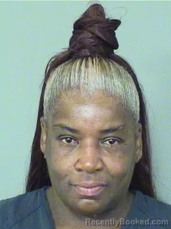 Mugshot of Jonvia Johnnette Mcdonald booked in Palm Beach County, Florida on September 5, 2026