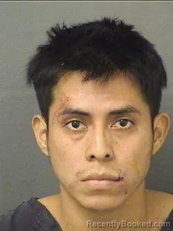 Mugshot of Elias Argeo Lopezramos booked in Palm Beach County, Florida on September 5, 2026