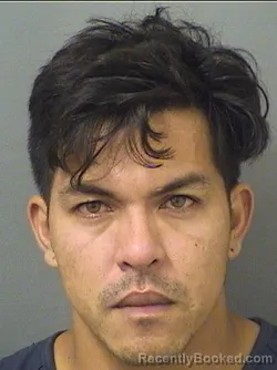 Mugshot of Alejandro Sellan Cheing booked in Palm Beach County, Florida on September 6, 2026