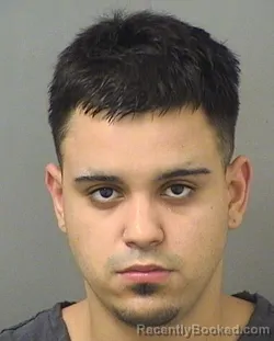 Mugshot of Luiz Filip Desousagoncalves booked in Palm Beach County, Florida on September 7, 2026