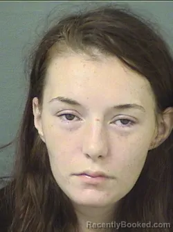 Mugshot of Annmarie Conlon booked in Palm Beach County, Florida on September 7, 2026