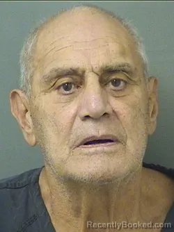 Mugshot of Ronald Faiella booked in Palm Beach County, Florida on September 7, 2026