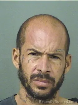 Mugshot of Alex Joseph Meith booked in Palm Beach County, Florida on September 8, 2026