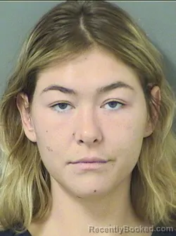 Mugshot of Anastasia Anna Down booked in Palm Beach County, Florida on September 8, 2026