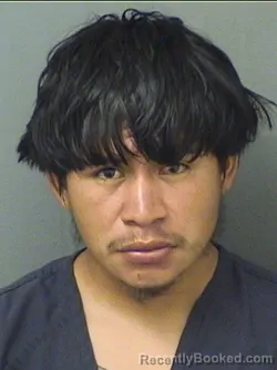Mugshot of Byron Joel Felipepedro booked in Palm Beach County, Florida on September 9, 2026