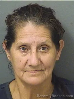 Mugshot of Ana Berta Martinez booked in Palm Beach County, Florida on September 9, 2026