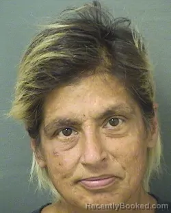 Mugshot of Jenny Sue Erb booked in Palm Beach County, Florida on September 9, 2026
