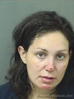 Mugshot of Eleni Michele Petrohilos booked in Palm Beach County, Florida on September 10, 2026