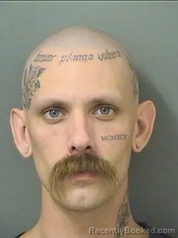 Mugshot of Jacob Tyler Mcpherson booked in Palm Beach County, Florida on September 10, 2026