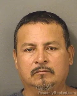 Mugshot of Amanain Dominguezgomez booked in Palm Beach County, Florida on September 11, 2026