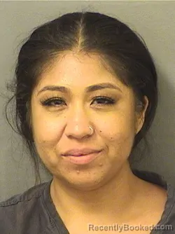 Mugshot of Jessica Casarrubias booked in Palm Beach County, Florida on September 14, 2026
