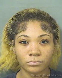 Mugshot of Trinity Shania Goldwire booked in Palm Beach County, Florida on September 14, 2026