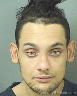 Mugshot of Tomas Xavier Collier booked in Palm Beach County, Florida on September 14, 2026