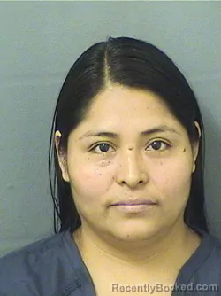 Mugshot of Graciela Veronica Berduoramirez booked in Palm Beach County, Florida on September 15, 2026