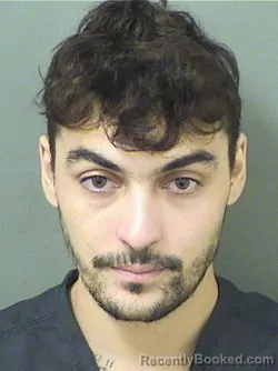 Mugshot of Peter Matthew Lucic booked in Palm Beach County, Florida on September 15, 2026