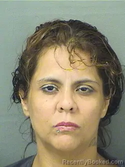 Mugshot of Irene Betancourt booked in Palm Beach County, Florida on September 15, 2026