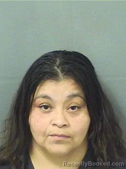 Mugshot of Maria Perez booked in Palm Beach County, Florida on September 16, 2026
